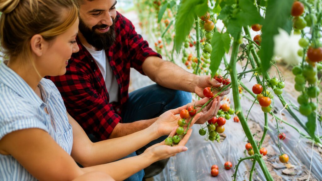 Self Sufficiency I