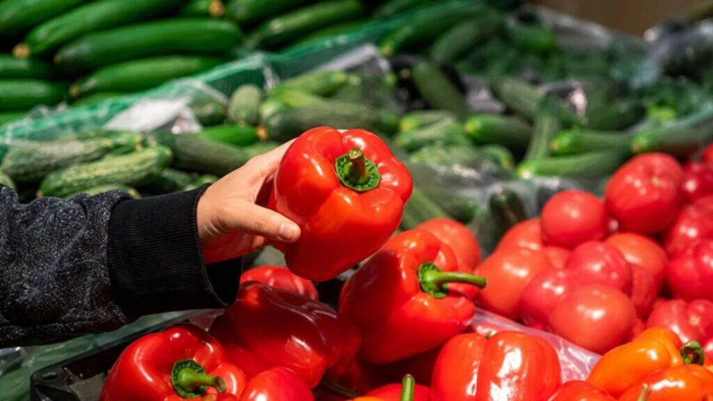 Commercial Vegetable Production