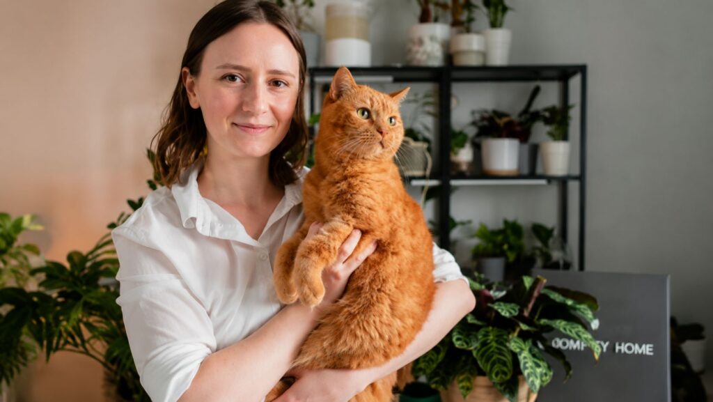 Cat Care & Grooming Business